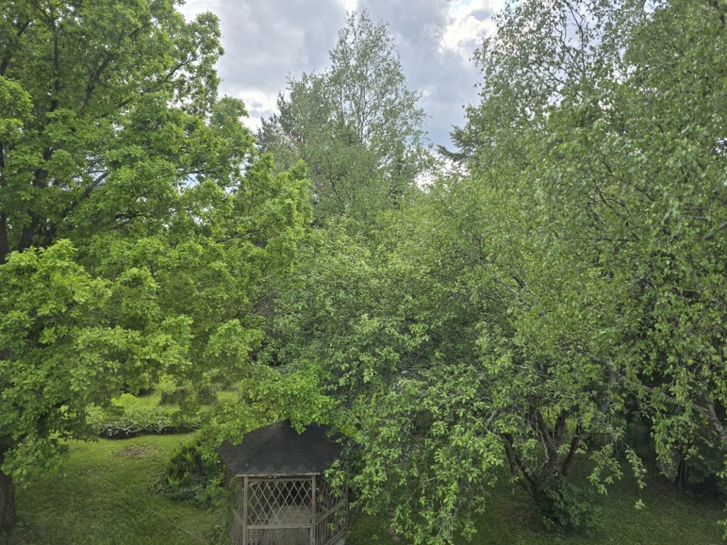 Onko lomasi kalenterimerkintä vai lupa ladata akkuja - johtajan lomastressi